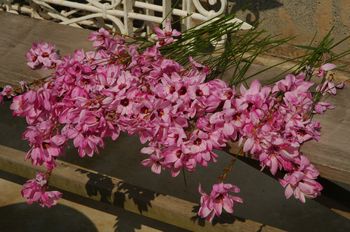DSC_0002 DSC_0002